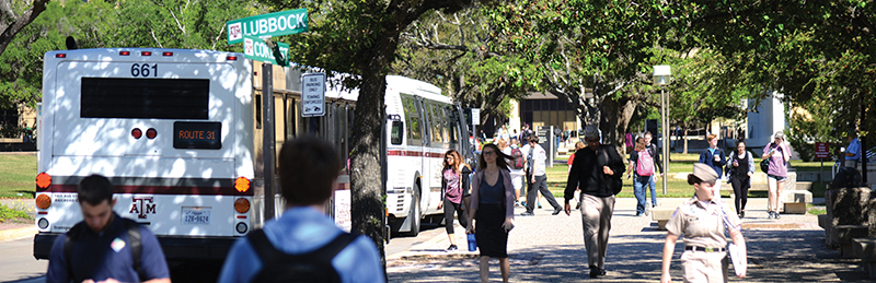 Texas A&M University campus with pedestrians and transit buses.