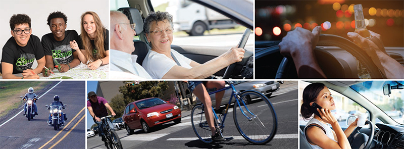 A photo collage highlighting  some of the Center for Transportation Safety research areas. (Teens in the Driver Seat programparticipants; elderly driver with elderly passenger; driver drinking while driving; motorcylists on two-lane roadway; bicyclists in urban traffic; and woman driving distracted)
