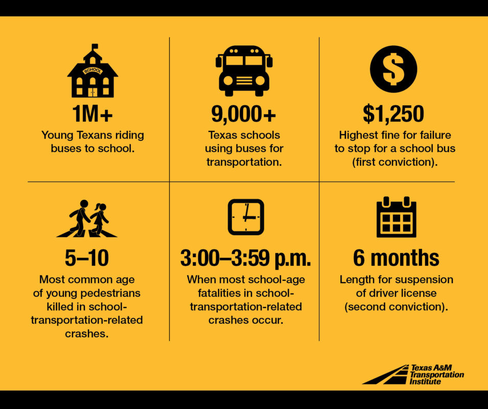 A graphic showing Texas school bus safety statistics. 1M+: Young Texas rising buses to school. 9,000+: Texas schools using buses for transportation. $1,250: Highest line for failure to stop for a school bus (first conviction). 5-10: Most common age of young pedestrians killed in school-transportation-related crashes. 3:00-3:59 p.m.: When most school-age fatalities in school-transportation-related crashes occur. 6 months: Length for suspension of driver license (second conviction).