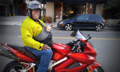 A photo of TTI Agency Director Greg Winfree on his motorcycle with his dog, Maya.