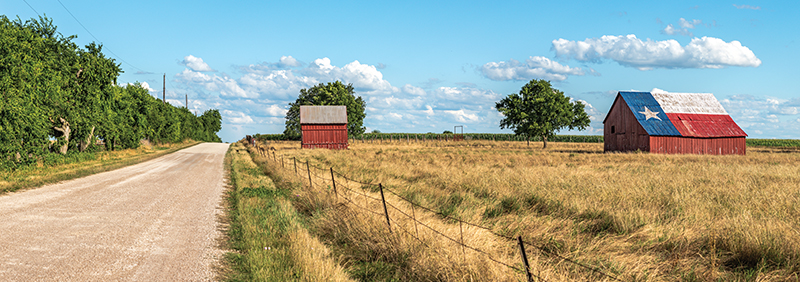Two red barns in a field off a gravel rural road.  The larger barn's roof is painted to look like the Texas flag.