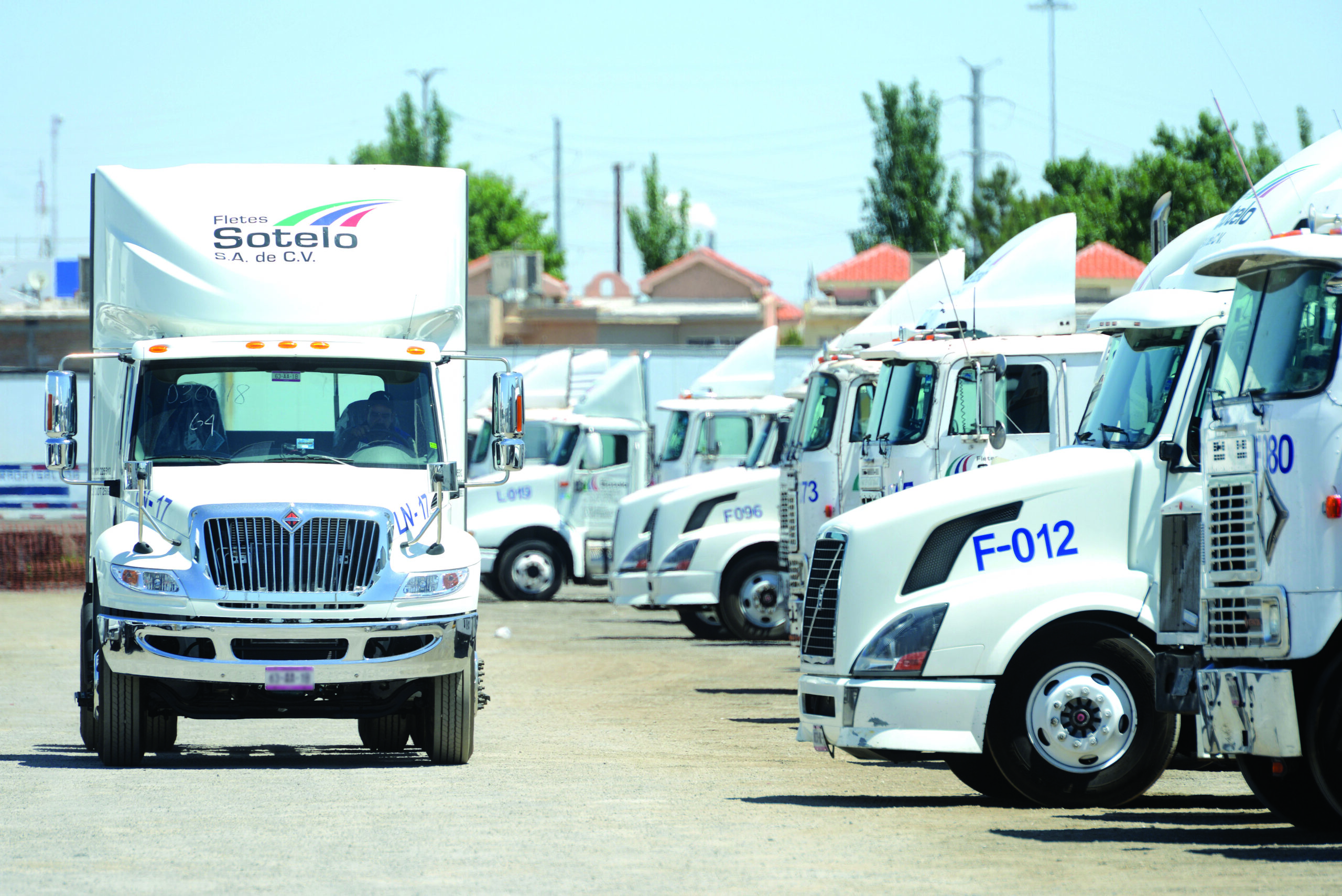 A fleet of white cargo trucks is parked in a lot under a clear sky, with one truck facing forward and several others parked side by side.