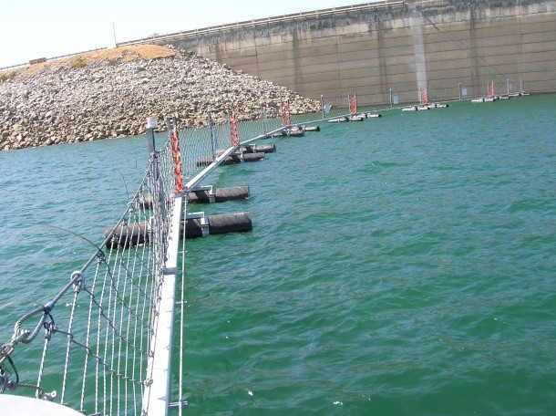 Boat barrier