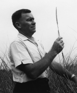 black and photo of Dr. McCully inspecting grasses