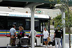 Amarillo City Transit bus