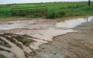 This is a photo showing poor drainage on an access road 
